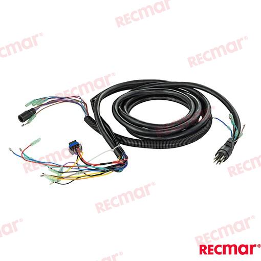 Harness Non Trim 8pin 15ft