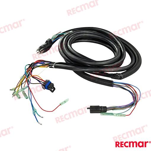 Harness Non Trim 8pin 15ft