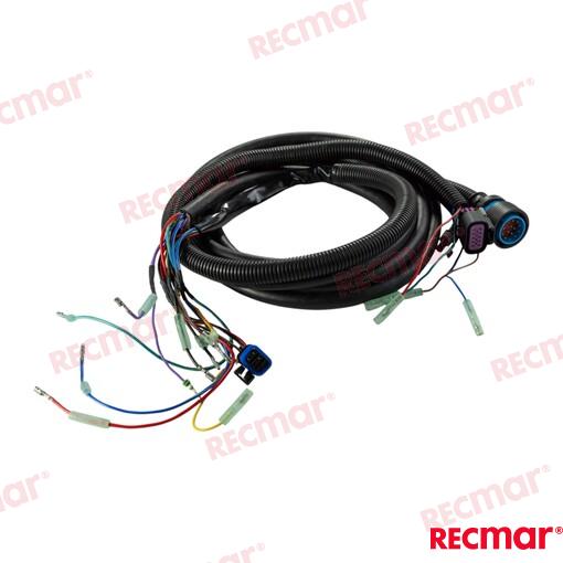 Trim Harness 14pin 15ft