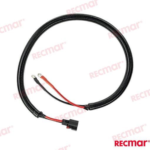 Pump Battery Cables 4ft for Mercury