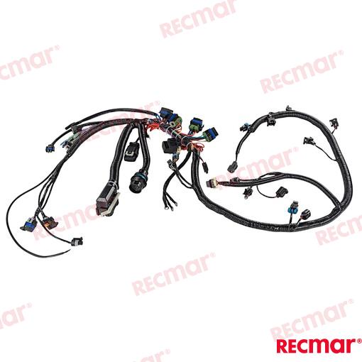 Engines Main Harness 150hp