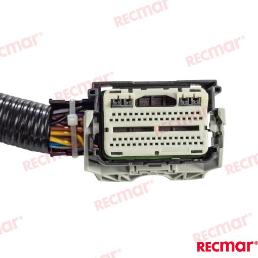 Engines Main Harness 150hp
