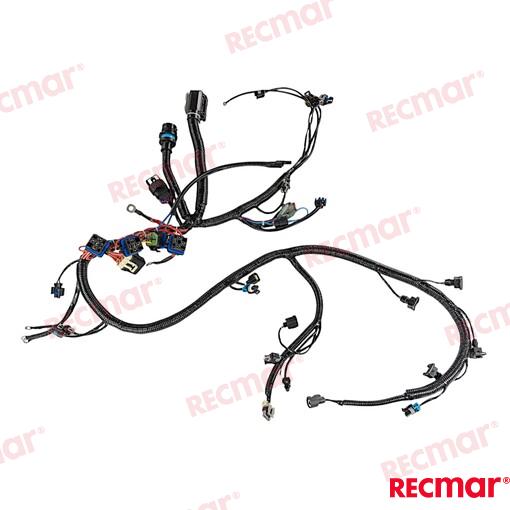 Engines Main Harness 150hp