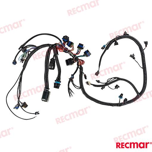Engines Main Harness 150hp