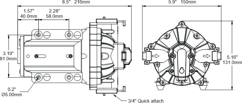 Diaphragm fresh water pump 12v series SEAFLO 52 12V 4,3Bar 15L/min with automatic switch SFDP1-040-060-52